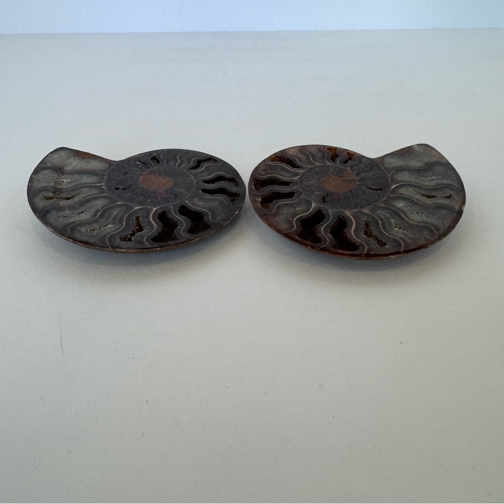 Large Matching Pair of Iridescent Polished Ammonite Fossils from Morocco - Picture 10 of 16